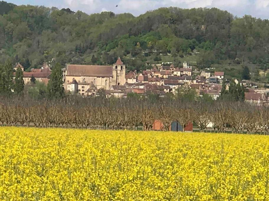 La Maison Du Puit Castels Exteriör bild